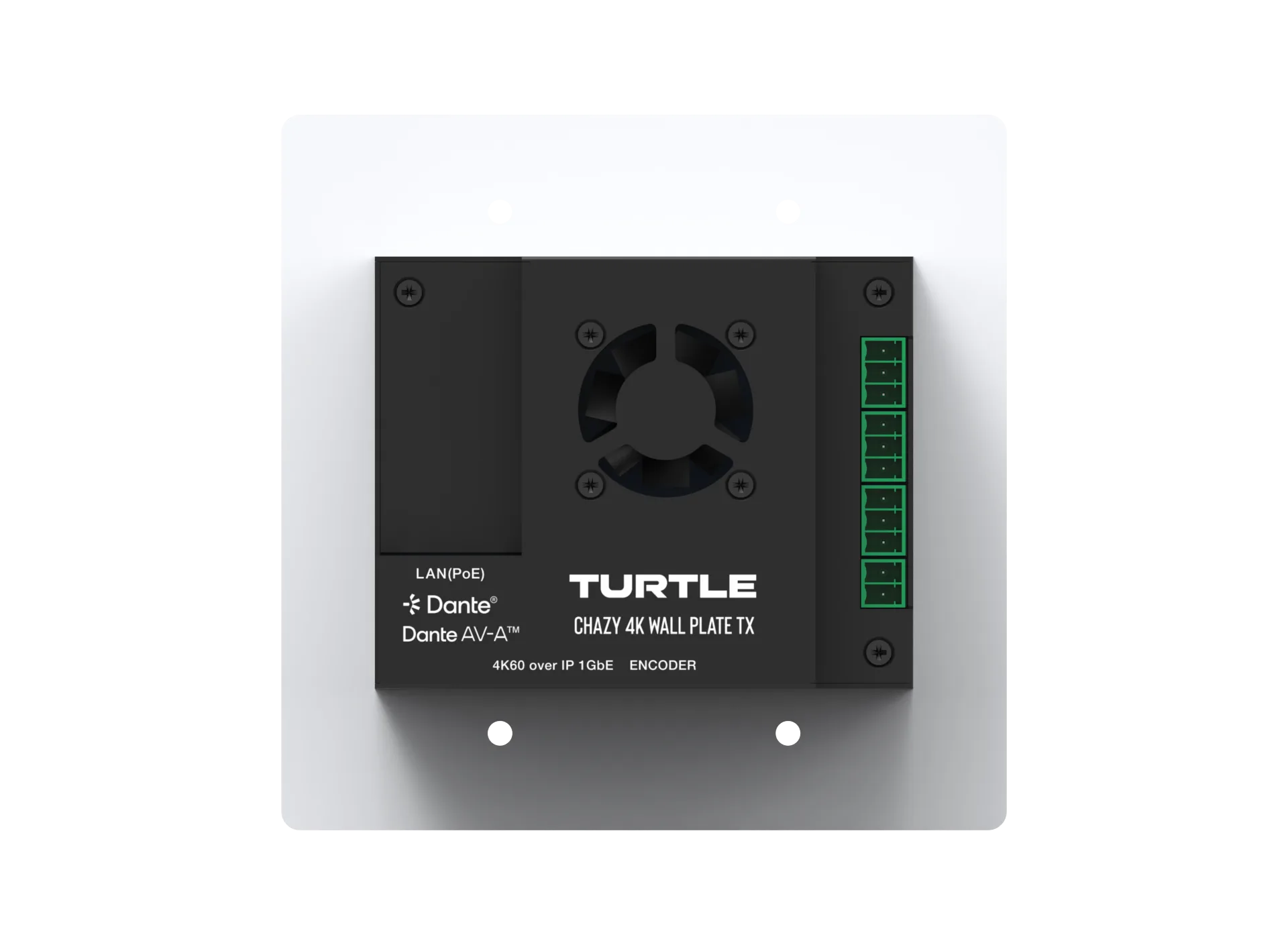 Chazy Wall Plate Tx – Image 2