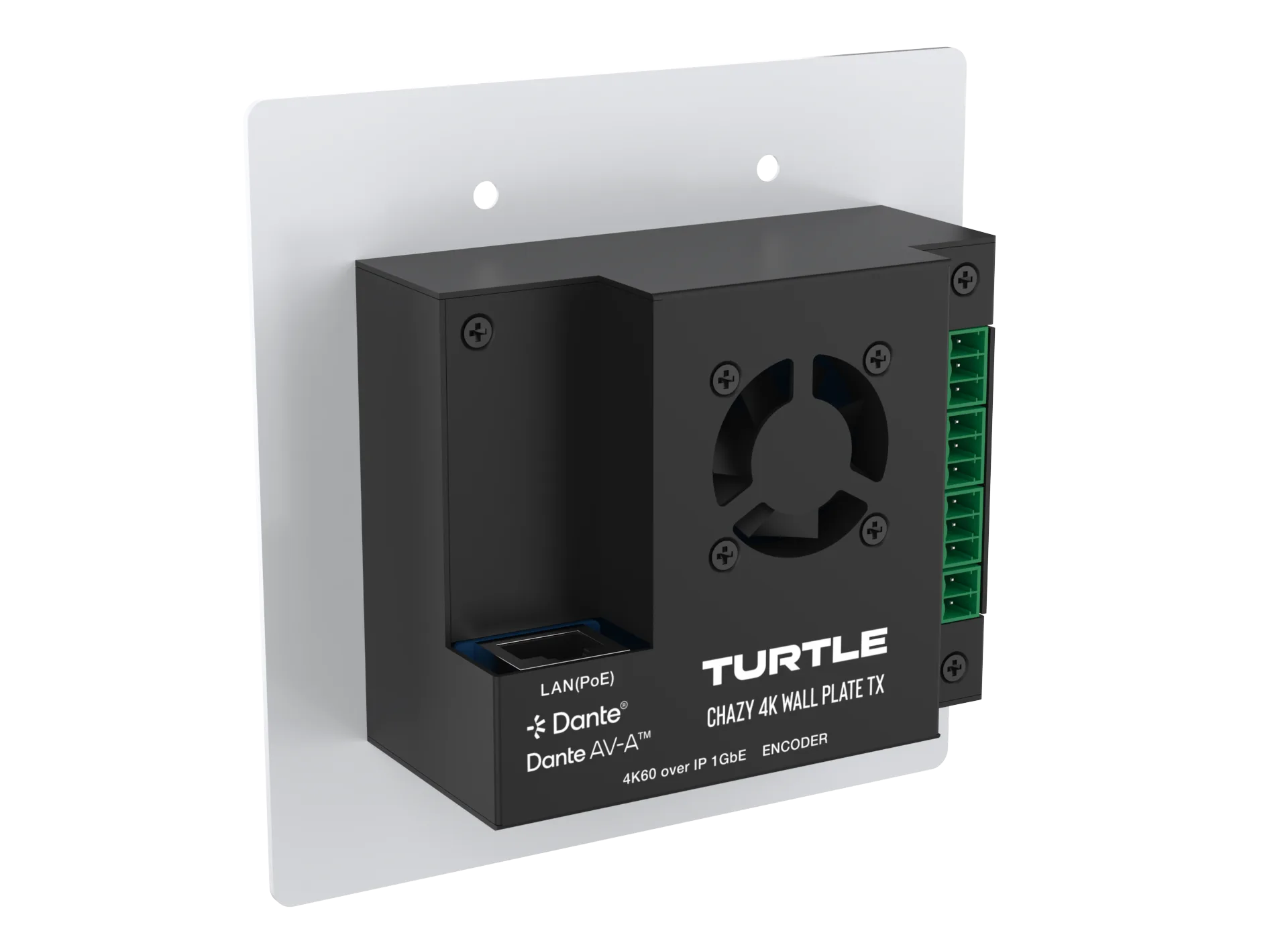 Chazy Wall Plate Tx – Image 4